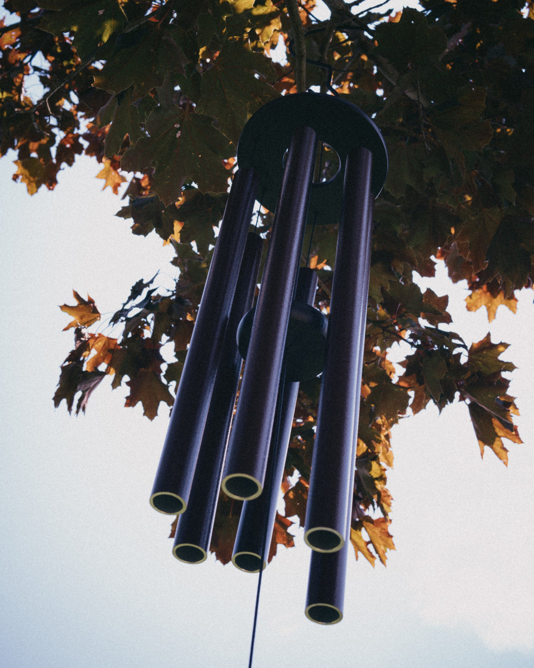Looking up at six aluminum wind chime tubes of varying lengths hanging from a round top plate, surrounded by autumn maple leaves against the sky