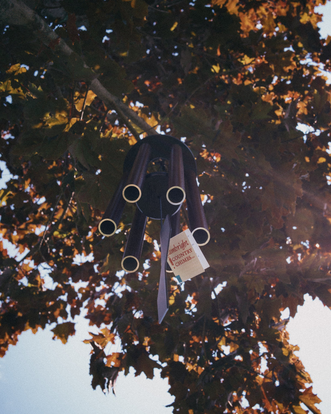 View from below an Amish handcrafted wind chime showing tube openings, poly lumber sail, and the Lambright Country Chimes hang tag with autumn sun flare