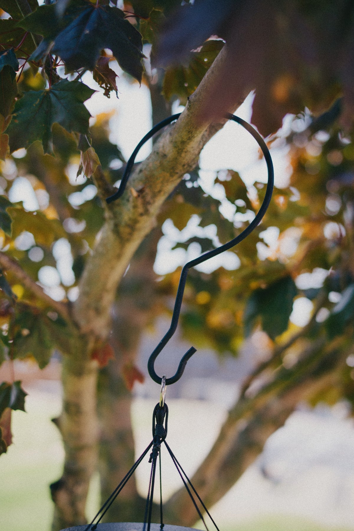 How to Hang a Wind Chime from a Tree — Tree Limb Hook in Action ...