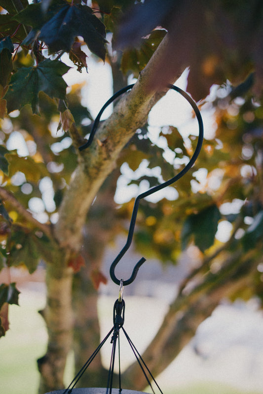 Black powder-coated tree limb hook wrapped around a maple tree branch with an Amish handcrafted wind chime hanging below in autumn light
