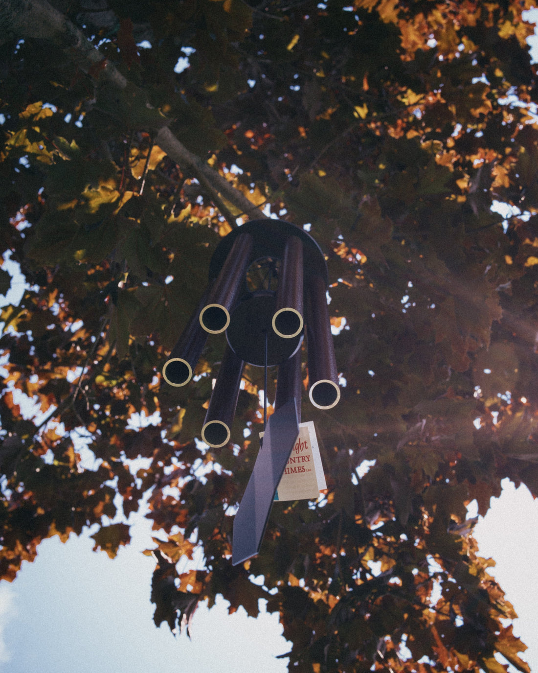 Amish handcrafted wind chime seen from below with poly lumber sail and Lambright Country Chimes tag, golden autumn sunlight streaming through maple leaves