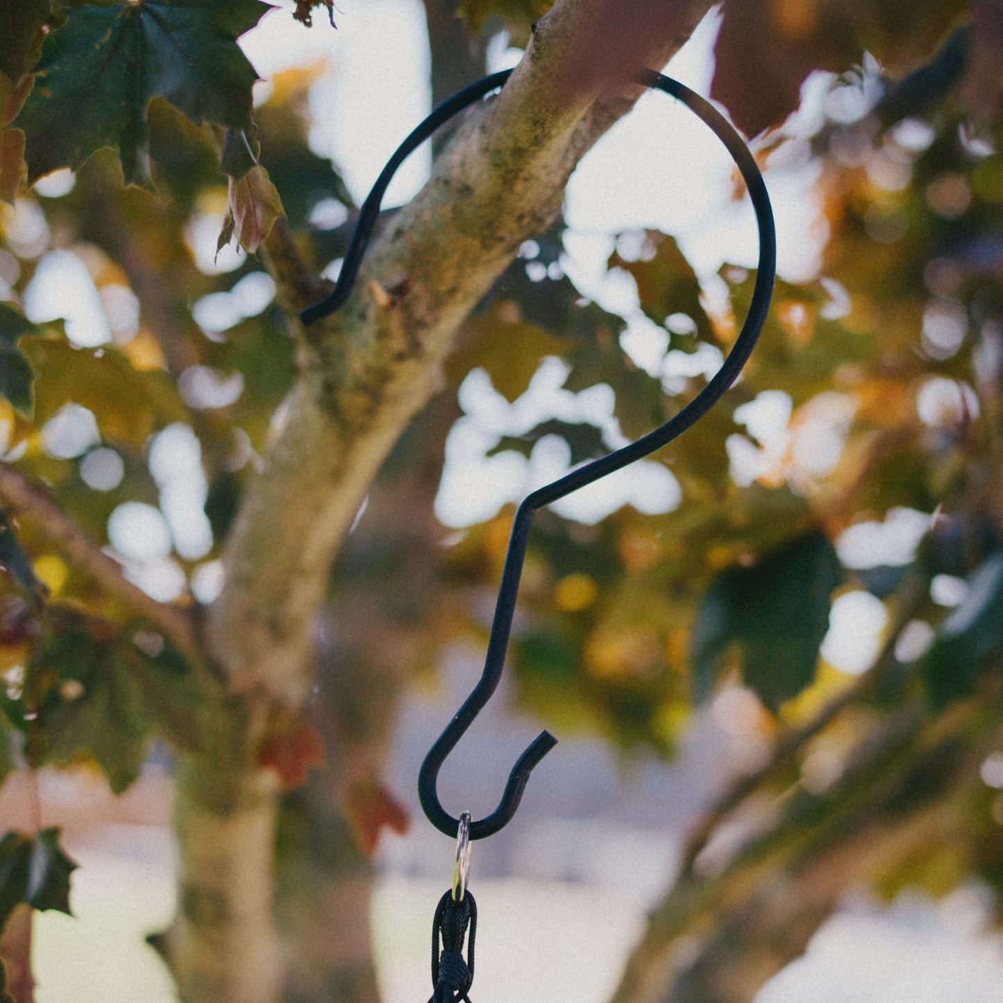 Black metal wind chime hanging hook attached to a tree branch with a blurred natural background